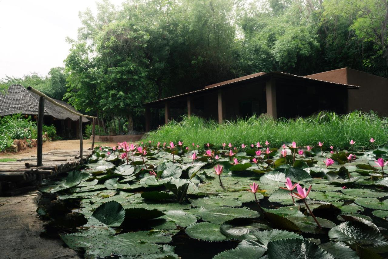Hampi'S Whiskers Resort Екстериор снимка
